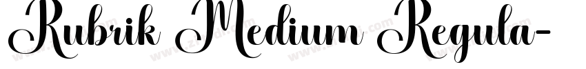 Rubrik Medium Regula字体转换